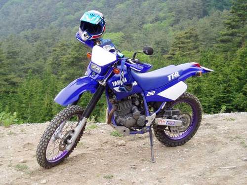 Product picture Yamaha TTR 250 1999-2006 Service Repair Manual TTR250 TT250R